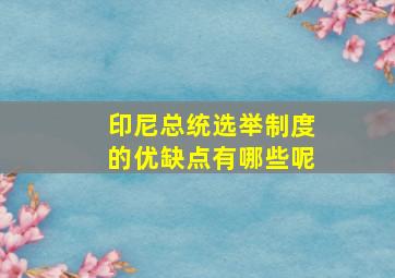 印尼总统选举制度的优缺点有哪些呢