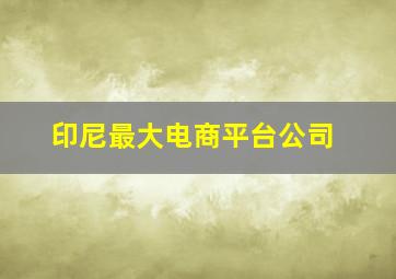 印尼最大电商平台公司