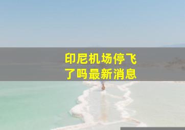 印尼机场停飞了吗最新消息