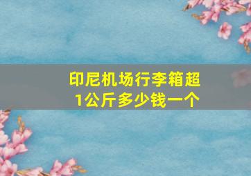 印尼机场行李箱超1公斤多少钱一个