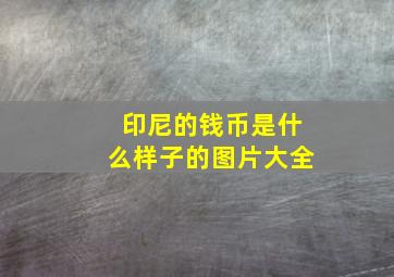 印尼的钱币是什么样子的图片大全