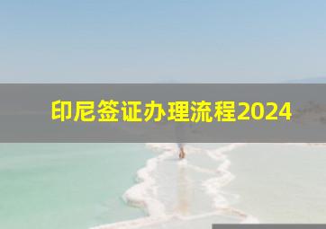 印尼签证办理流程2024