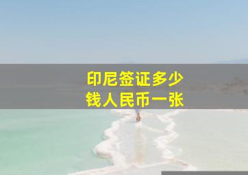 印尼签证多少钱人民币一张