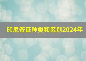 印尼签证种类和区别2024年