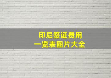 印尼签证费用一览表图片大全