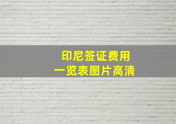 印尼签证费用一览表图片高清