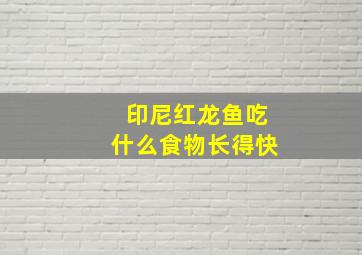 印尼红龙鱼吃什么食物长得快