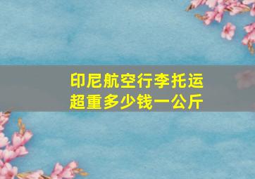 印尼航空行李托运超重多少钱一公斤