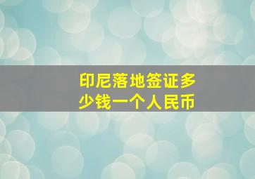 印尼落地签证多少钱一个人民币