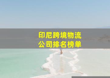 印尼跨境物流公司排名榜单