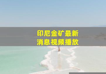 印尼金矿最新消息视频播放