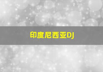 印度尼西亚DJ