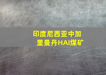 印度尼西亚中加里曼丹HAI煤矿