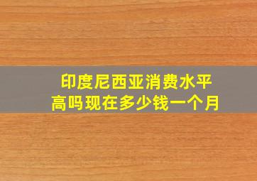 印度尼西亚消费水平高吗现在多少钱一个月