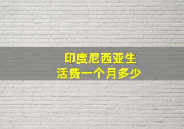 印度尼西亚生活费一个月多少