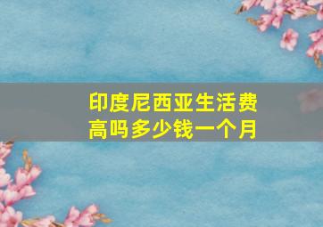 印度尼西亚生活费高吗多少钱一个月