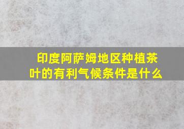 印度阿萨姆地区种植茶叶的有利气候条件是什么