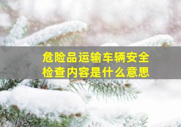 危险品运输车辆安全检查内容是什么意思