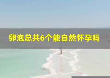 卵泡总共6个能自然怀孕吗