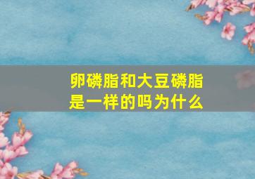 卵磷脂和大豆磷脂是一样的吗为什么