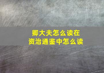 卿大夫怎么读在资治通鉴中怎么读