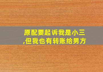 原配要起诉我是小三,但我也有转账给男方