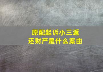 原配起诉小三返还财产是什么案由