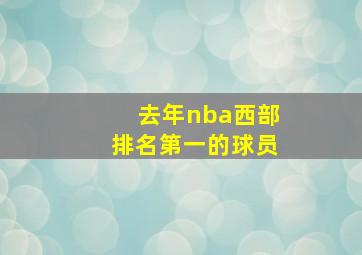 去年nba西部排名第一的球员