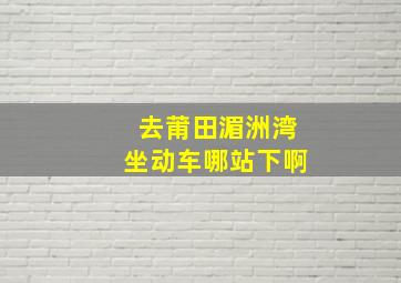 去莆田湄洲湾坐动车哪站下啊