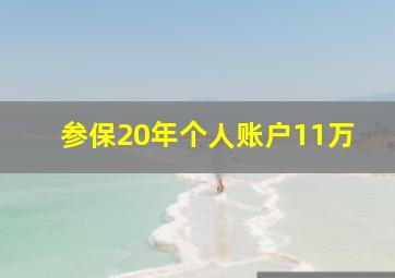 参保20年个人账户11万