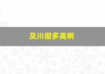 及川彻多高啊