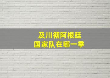 及川彻阿根廷国家队在哪一季