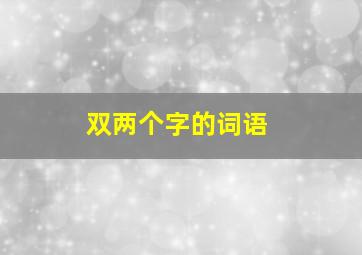 双两个字的词语