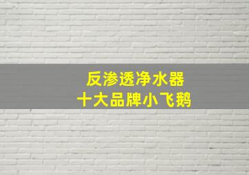 反渗透净水器十大品牌小飞鹅