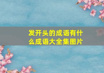 发开头的成语有什么成语大全集图片