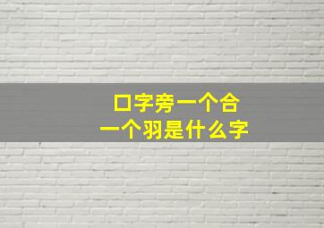 口字旁一个合一个羽是什么字