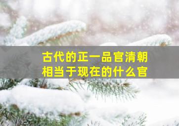 古代的正一品官清朝相当于现在的什么官