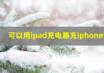 可以用ipad充电器充iphone吗