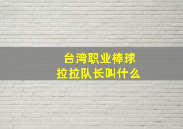 台湾职业棒球拉拉队长叫什么