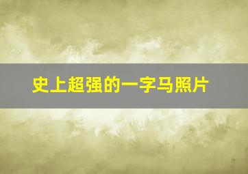 史上超强的一字马照片