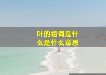 叶的组词是什么是什么意思