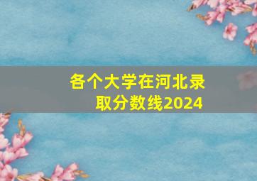 各个大学在河北录取分数线2024