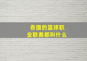 各国的篮球职业联赛都叫什么