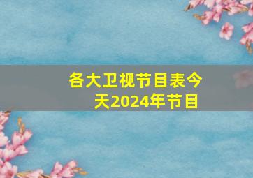 各大卫视节目表今天2024年节目