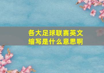 各大足球联赛英文缩写是什么意思啊