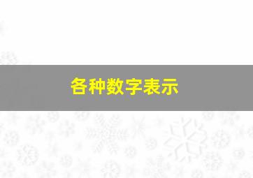 各种数字表示