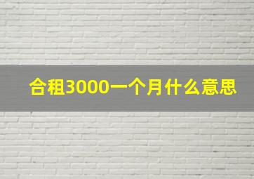 合租3000一个月什么意思