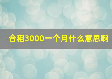 合租3000一个月什么意思啊