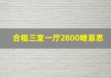 合租三室一厅2800啥意思