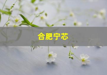 合肥宁芯